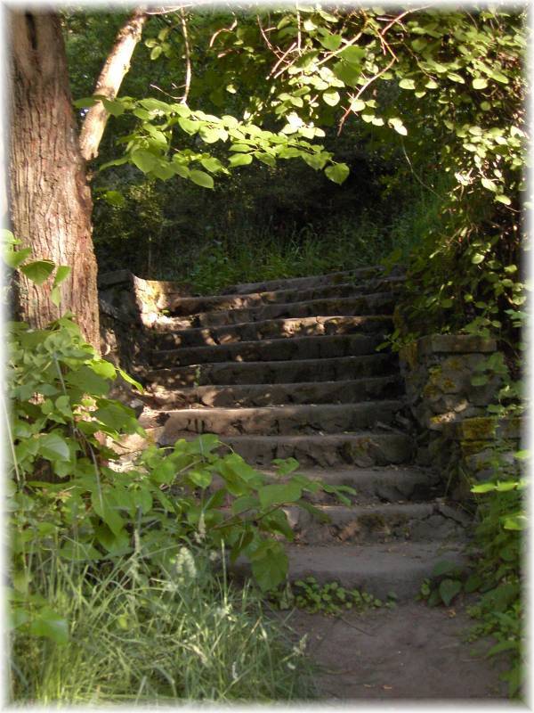 One of the remaining staircases before stabilization.
