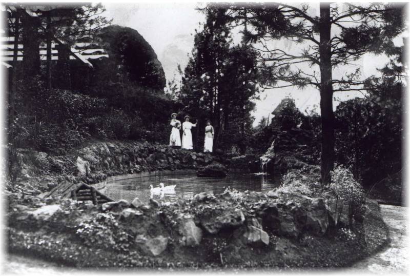 Fish pond and pergola.