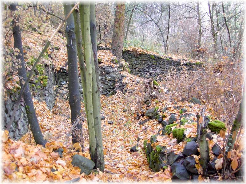 Remains of the greenhouse.