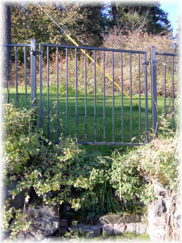 New metal fence.