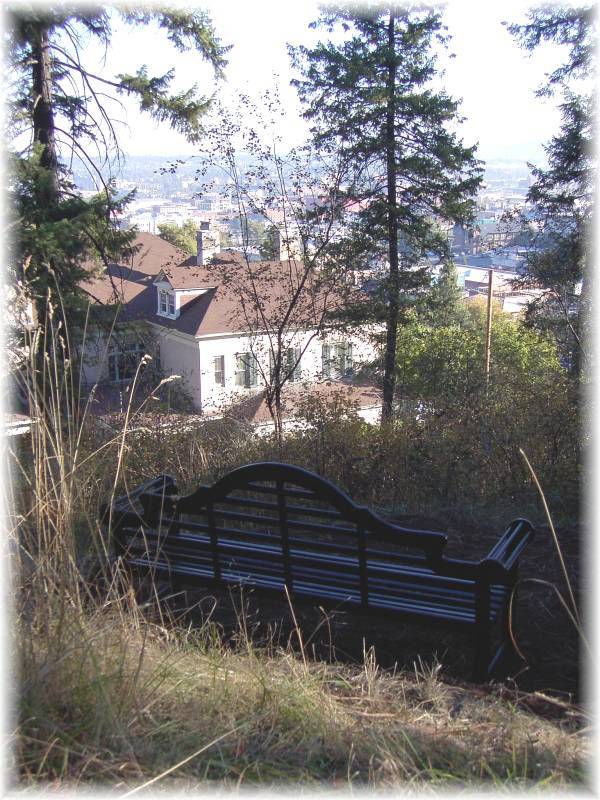 Upper bench view.
